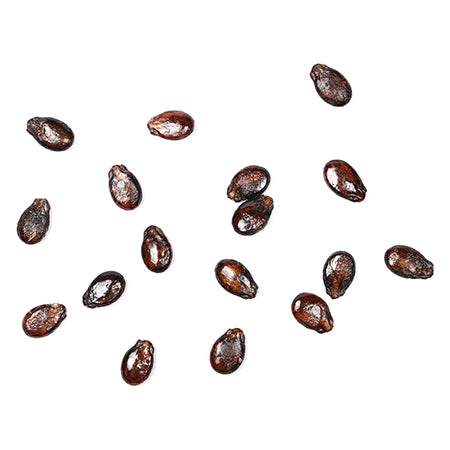 Close-up of Crimson Sweet watermelon seeds against a white background